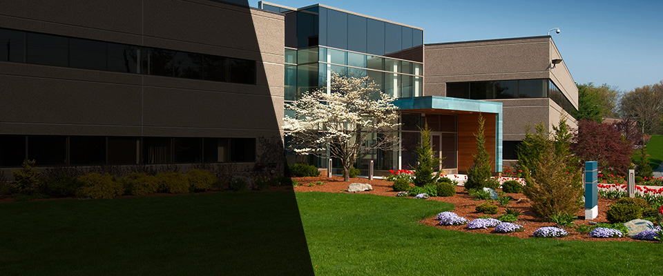 Shrewsbury Landscapers